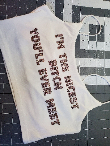 Your Choice Color Crop Top "I'm the nicest bitch you'll ever meet" One Size (SMALL)