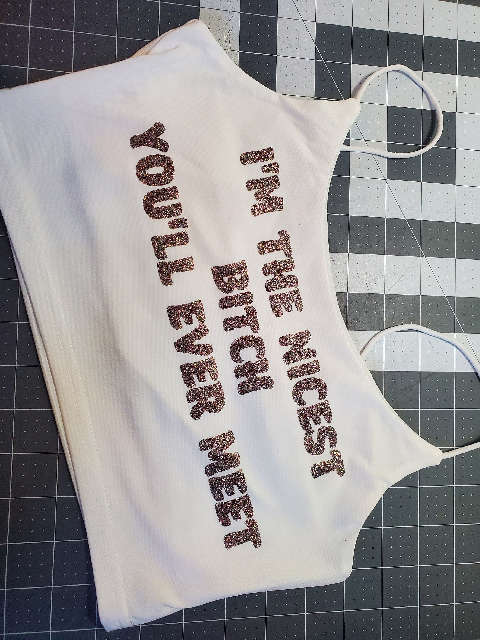 Your Choice Color Crop Top "I'm the nicest bitch you'll ever meet" One Size (SMALL) Your Choice Color Crop Top "I'm the nicest bitch you'll ever meet" One Size (SMALL)