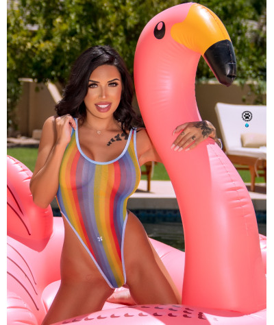 rainbow-vertical-striped-sheer-mesh-with-baby-blue-trim-very-sheer-1-piece-bodysuit-one-size-small