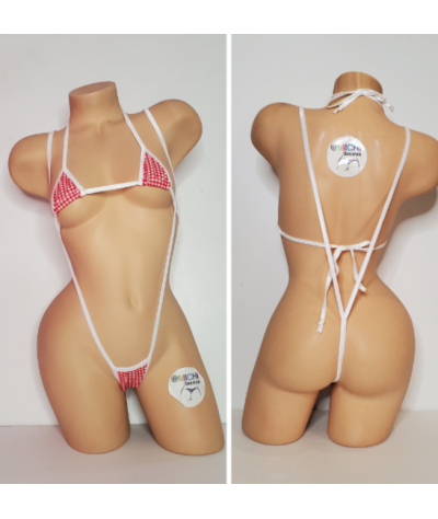 picnic-checker-pattern-blue-red-or-pink-w-white-trim-2-piece-micro-string-bikini-set-one-size
