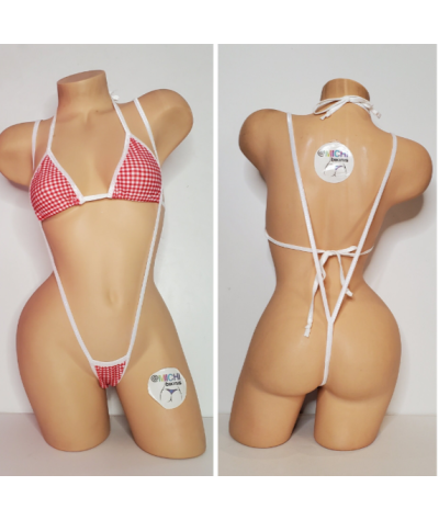 picnic-checker-pattern-blue-red-or-pink-w-white-trim-2-piece-micro-string-bikini-set-one-size