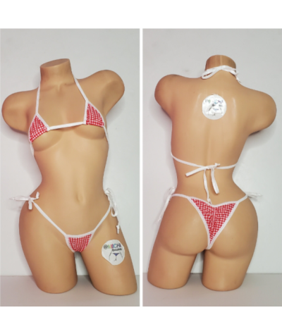 picnic-checker-pattern-blue-red-or-pink-w-white-trim-2-piece-micro-string-bikini-set-one-size